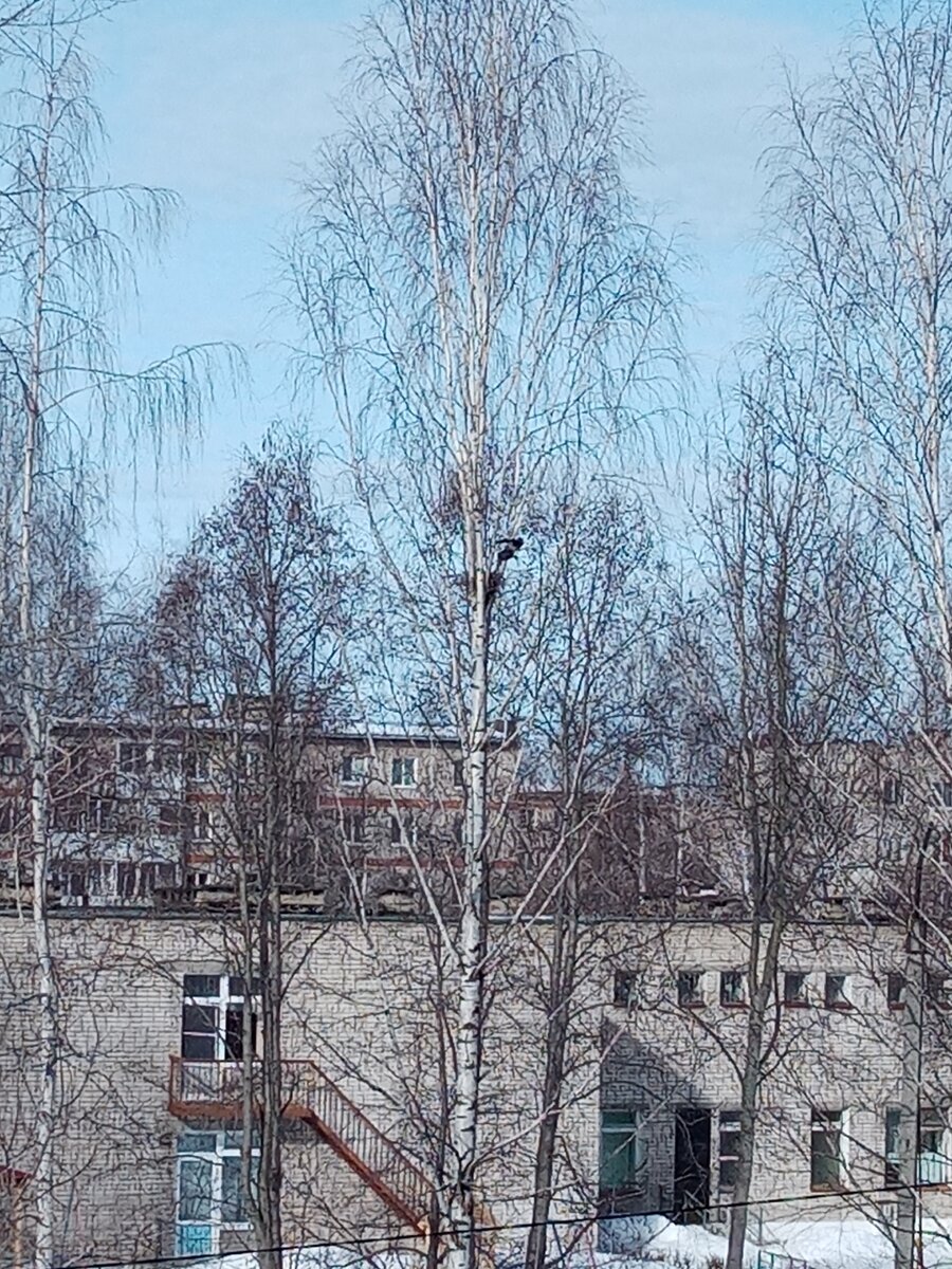 6 марта