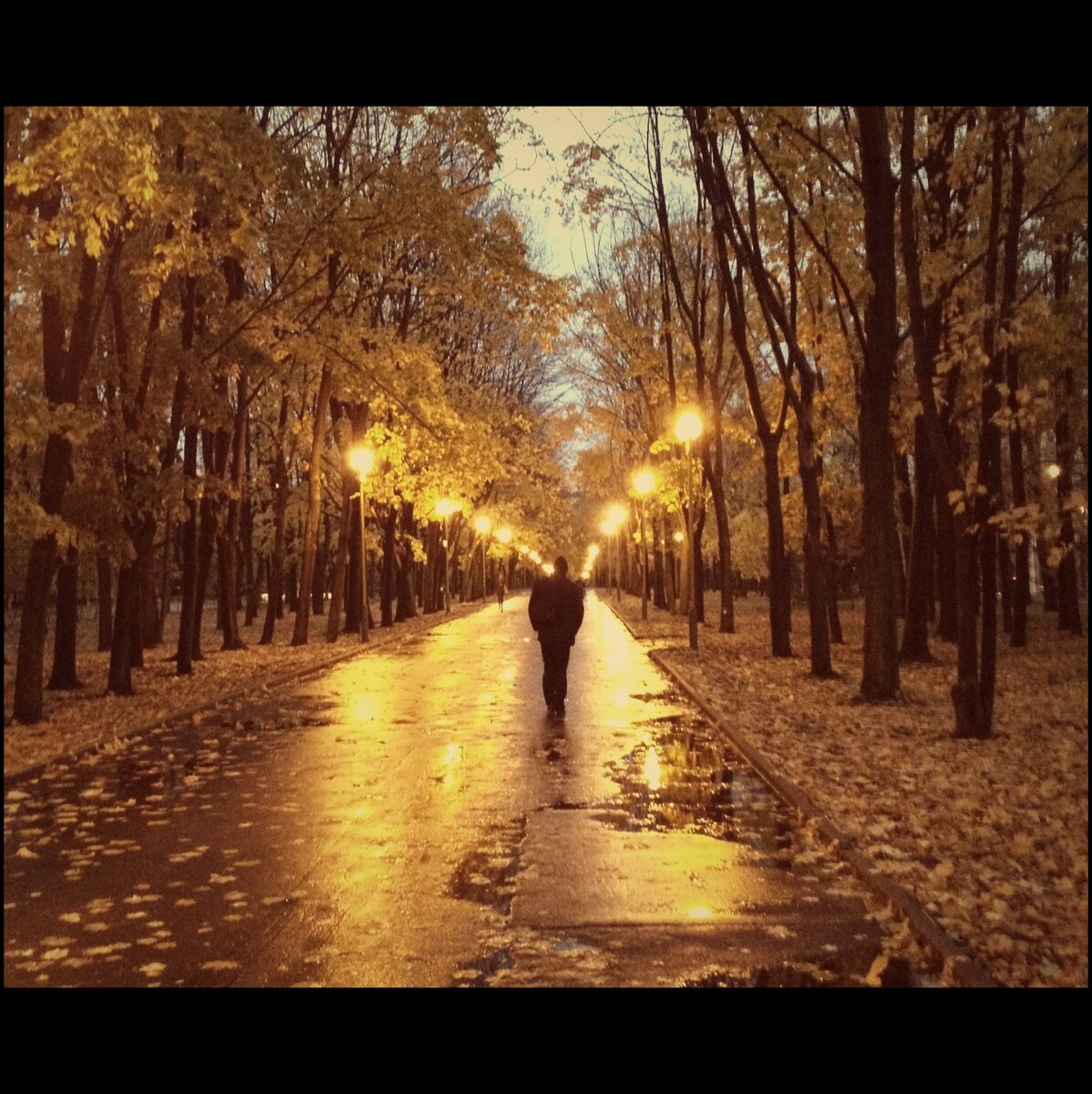 Осень на Воробьевых (@ЮШ, 2012)