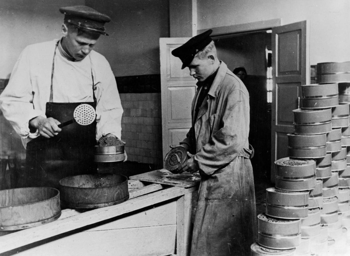 В 1930 х гг были. Заводы СССР 1930. СССР В 1930-Е гг. СССР В 1930 годы. Рыбная промышленность СССР