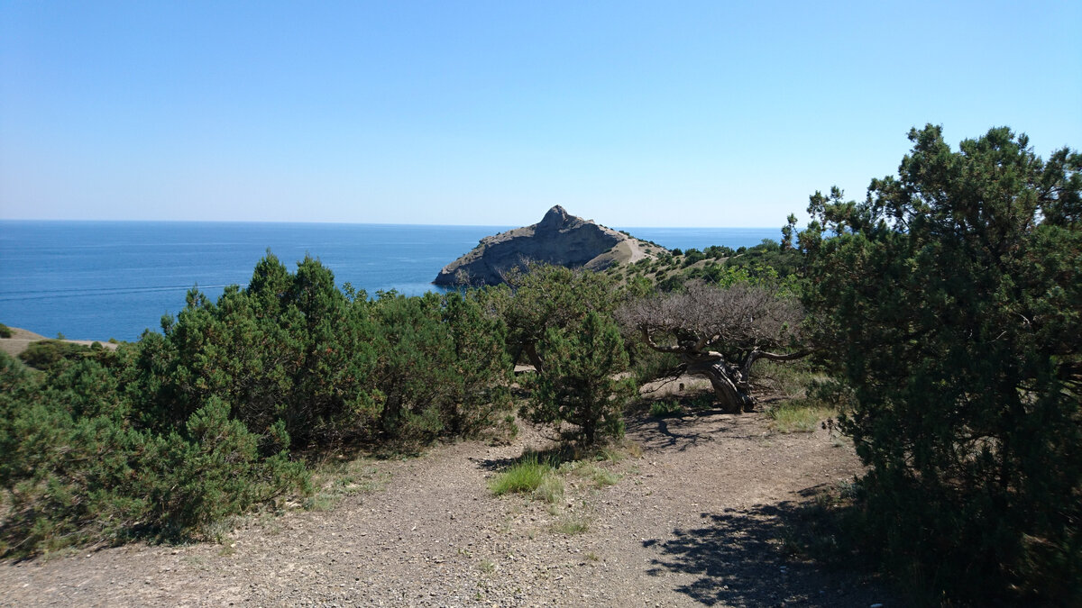 Можжевельник, ну и всё такое.