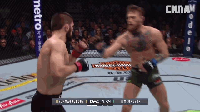 Фото с канала Ютуб /ссылка на канал ниже/