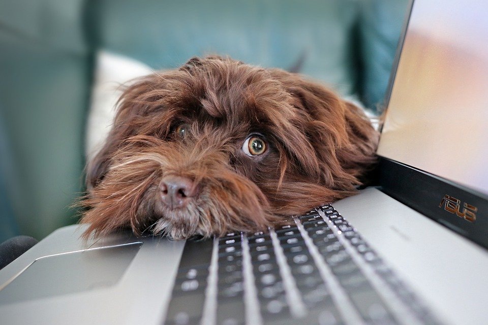 Теперь пора за работу! Фото с pixabay.com