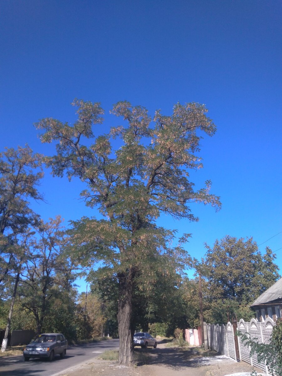 осеннее небо


