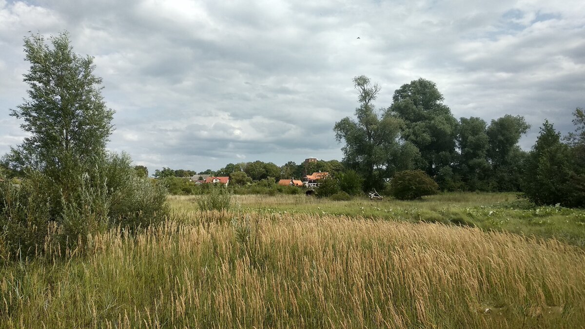 погода ушаково нижегородской. погода ушаково нижегородской. деревня баженово нижегородская область гагинский район. село ушаково костромская область. ушаково калининградская область.
