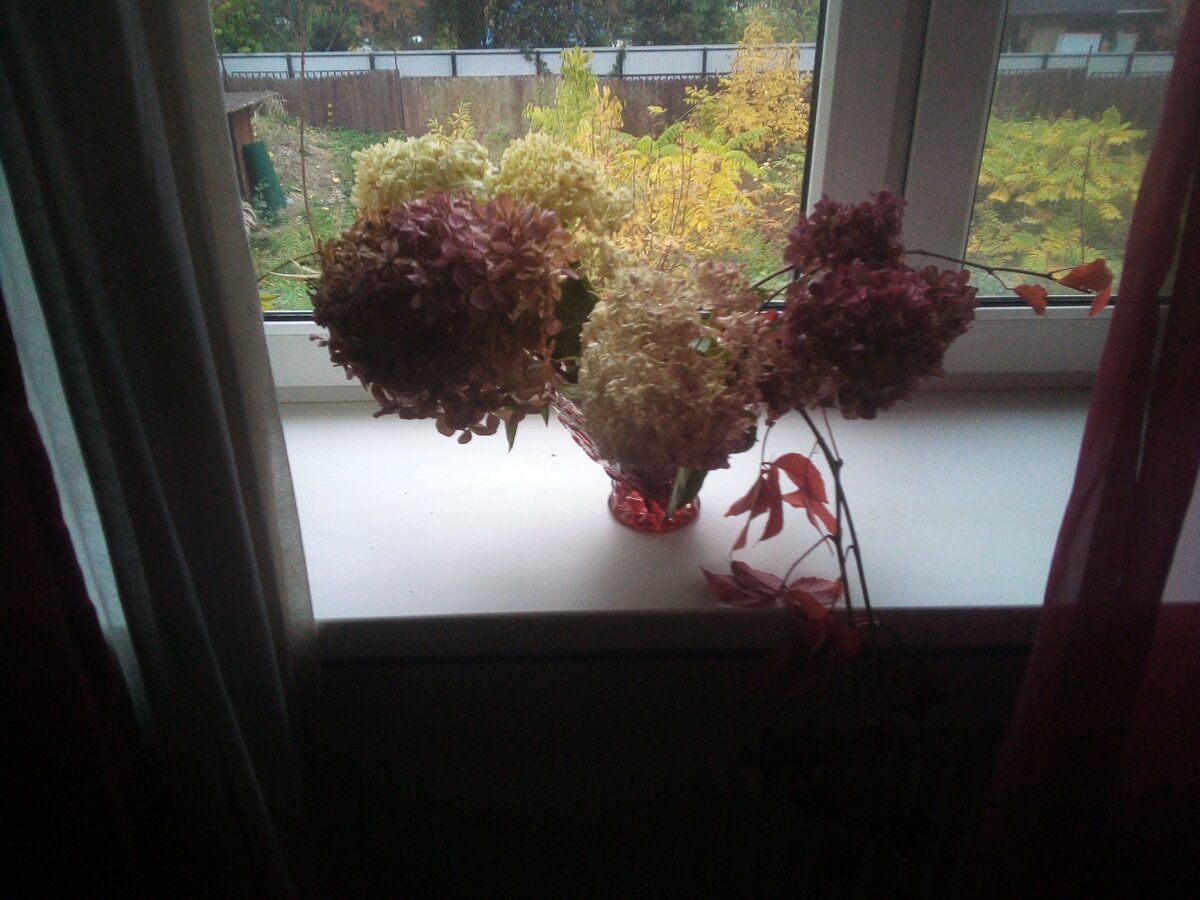 Вид из моего окна