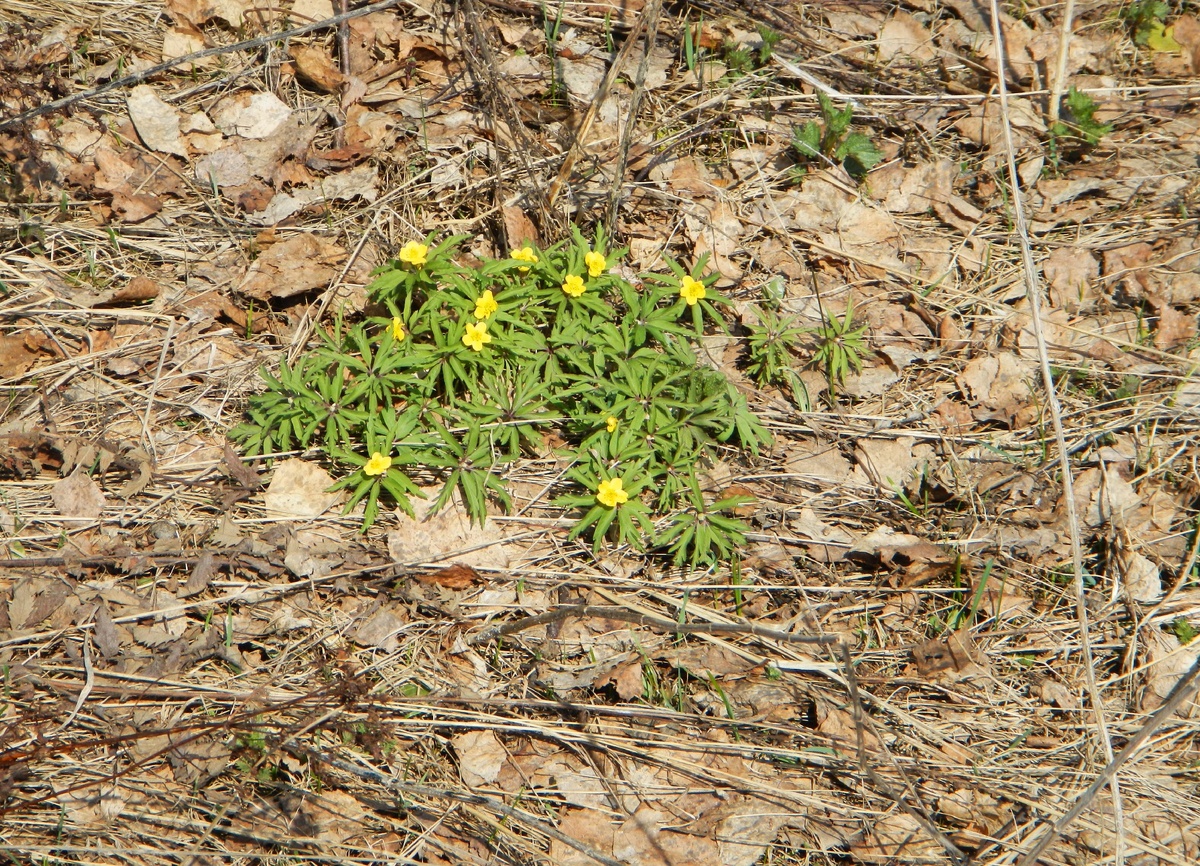 Фото Анны Демаковой