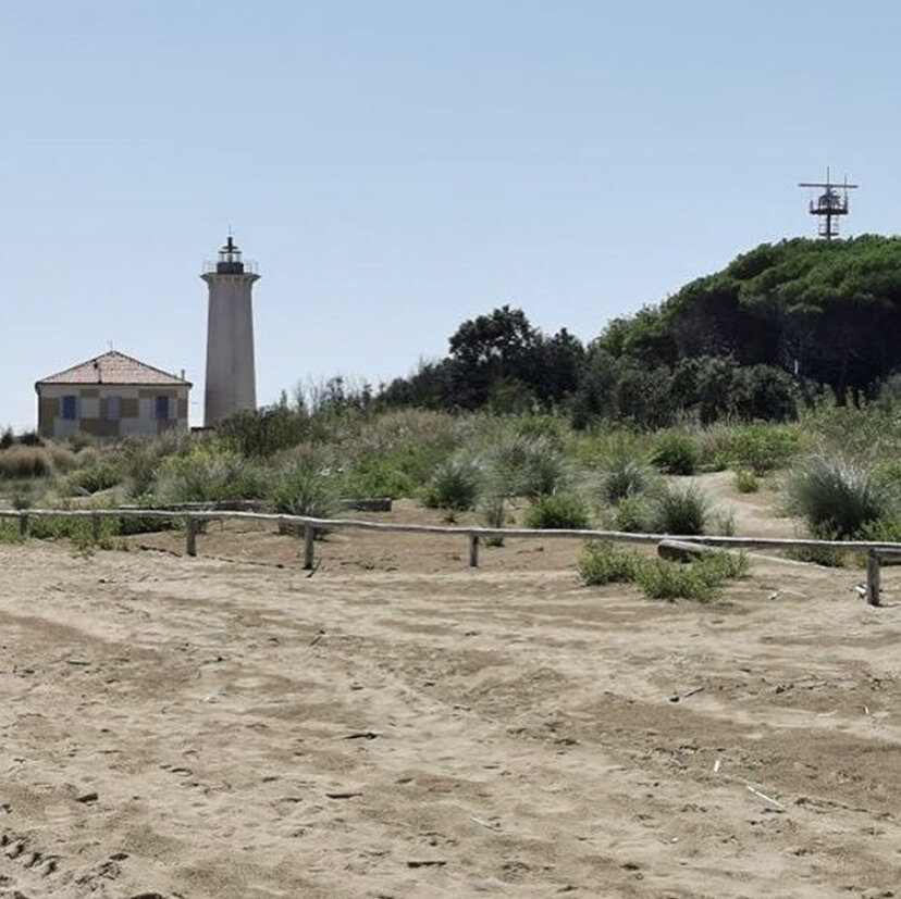 Bibione