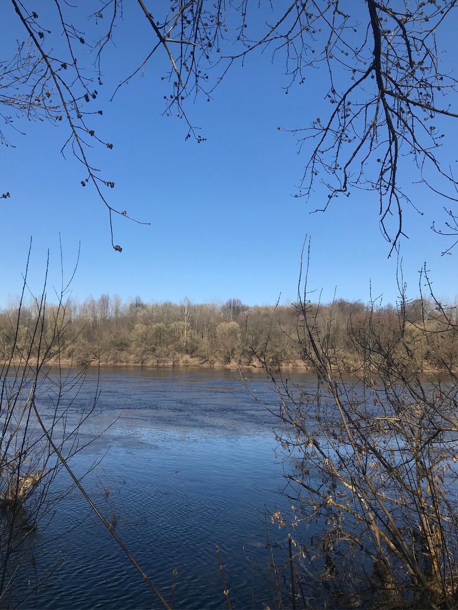 Берег Западной Двины (Беларусь)