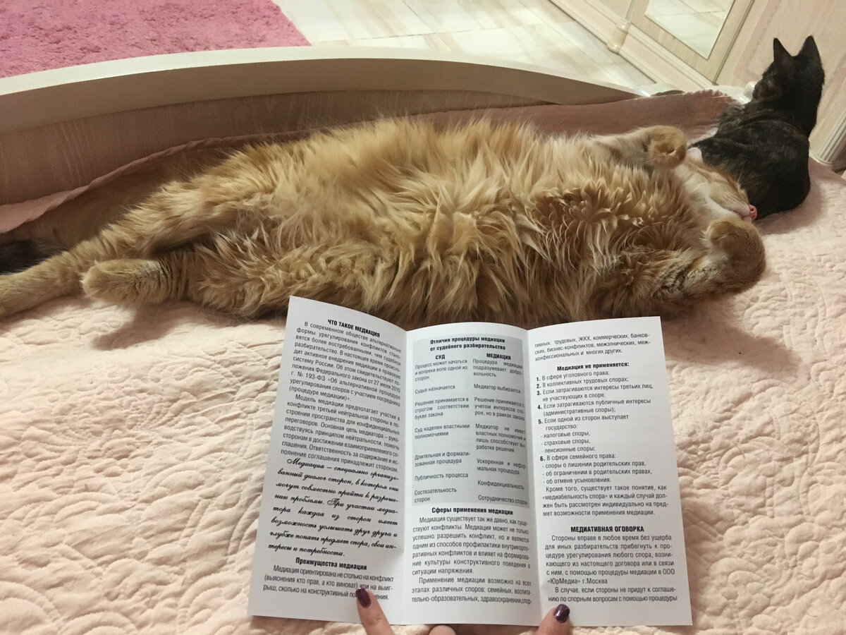 Изучает новое для себя направление 