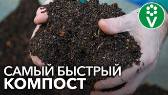 КОМПОСТ СОЗРЕЕТ В 10 РАЗ БЫСТРЕЕ! Готовим ускоритель компоста своими руками
