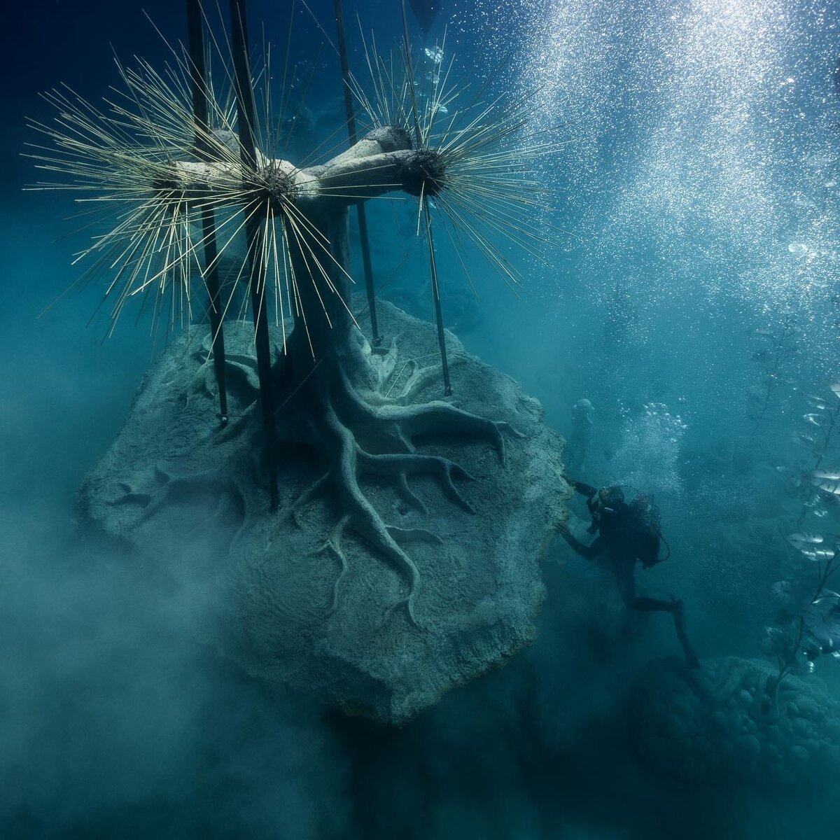 Процесс монтирования. Фото: @Jason deCaires Taylor