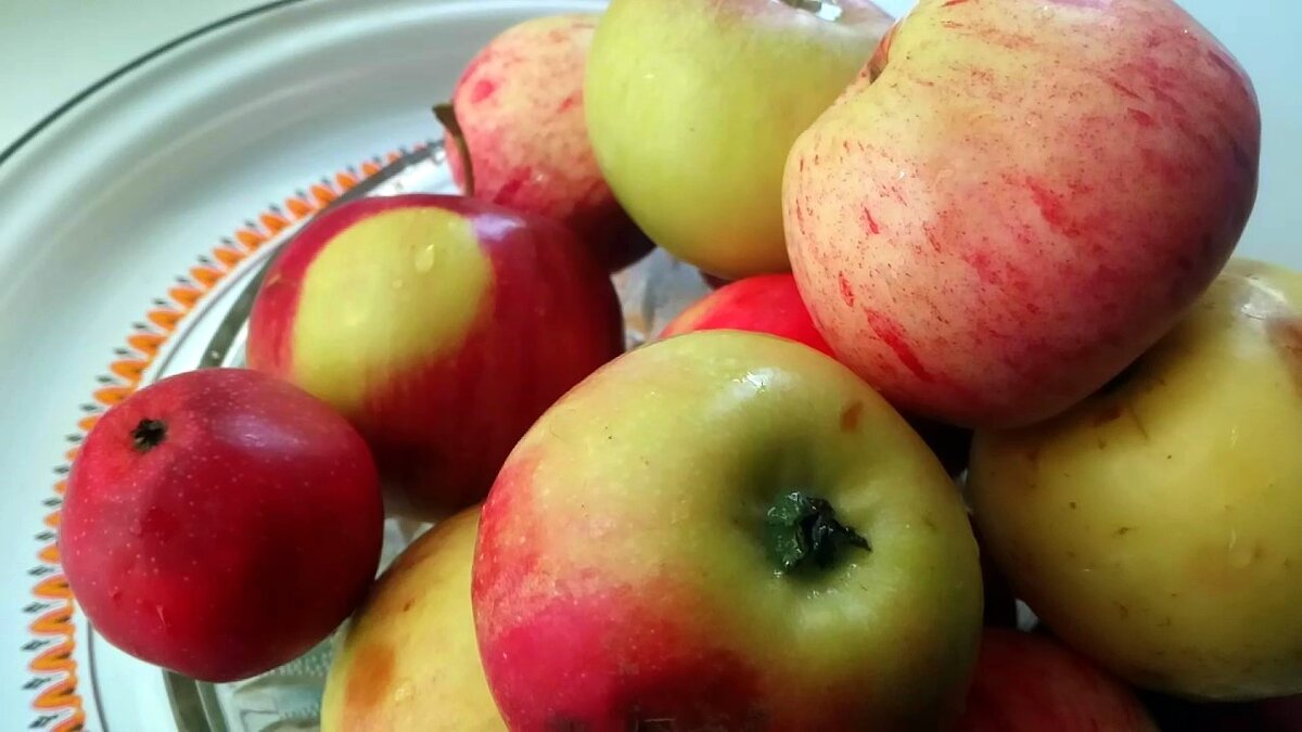 Дикие яблоки на моём окне (фото автора)