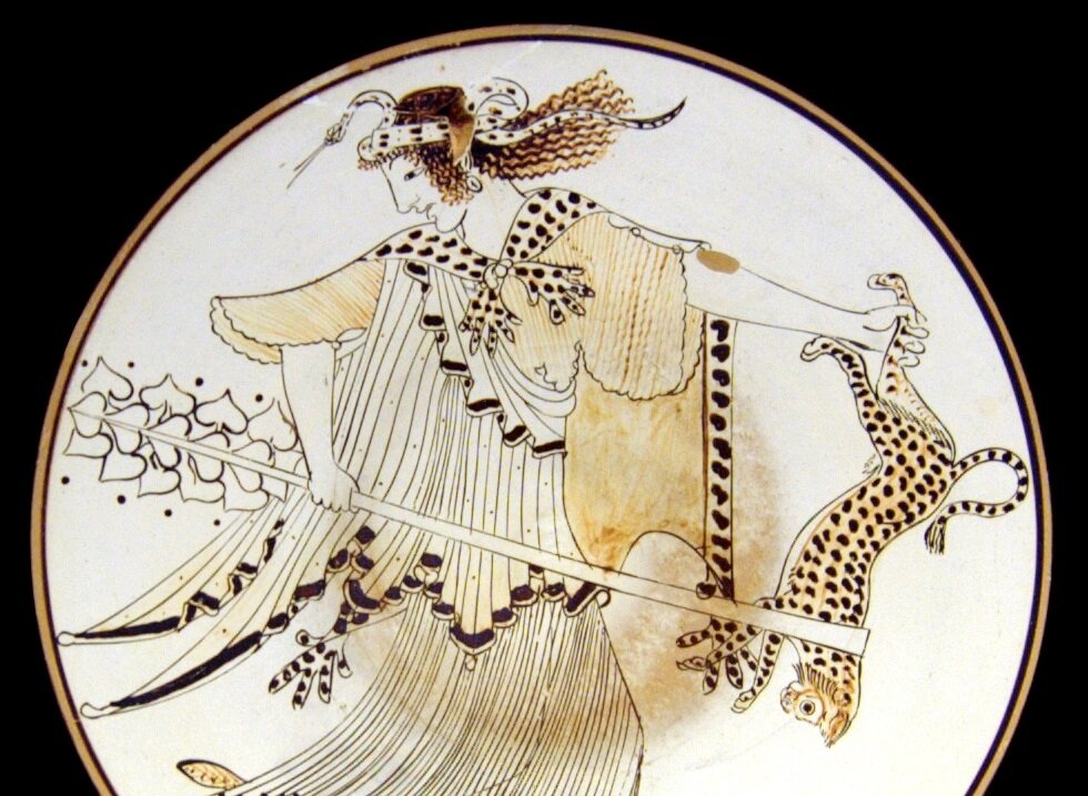 Гражадночка, котика оставьте в покое 