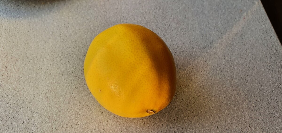 Фото Лужецкой Натальи сорванный  1 ноября 2021 года плод нашего лимона