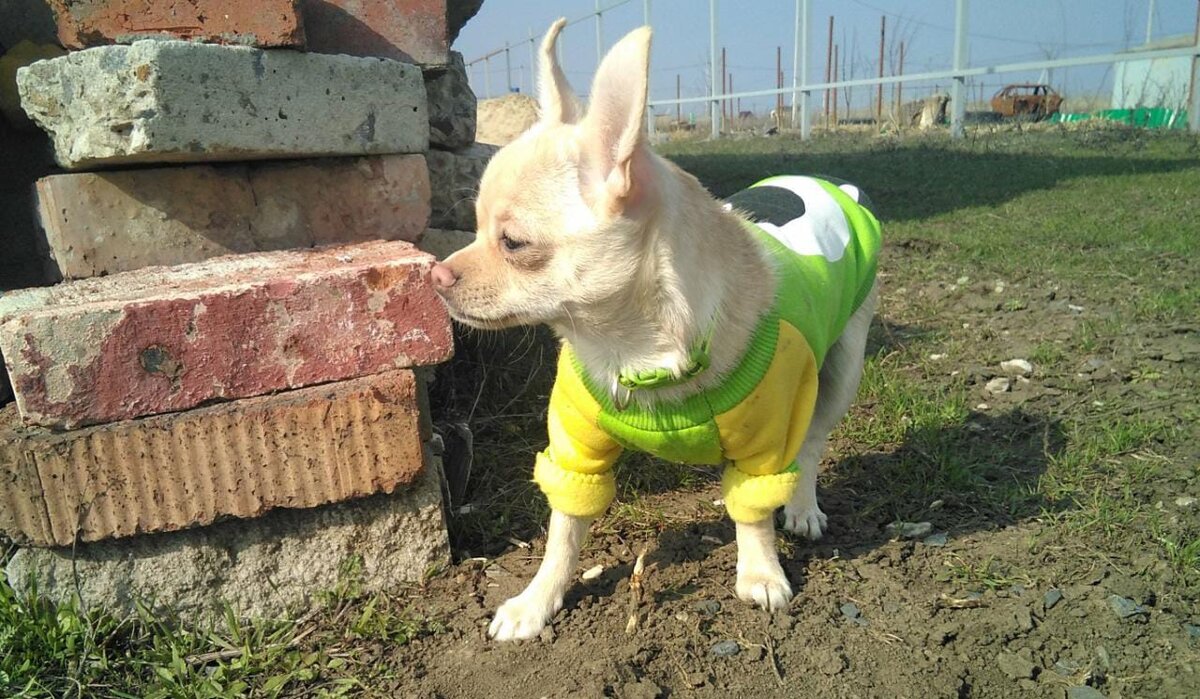 Санюха на первой стройке