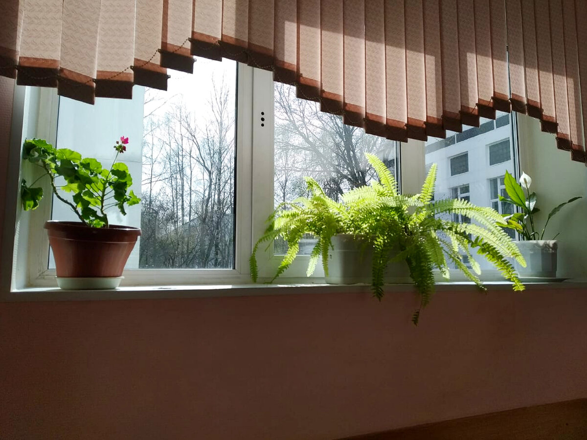 Нейтральная картинка для иллюстрации статьи. Фото автора