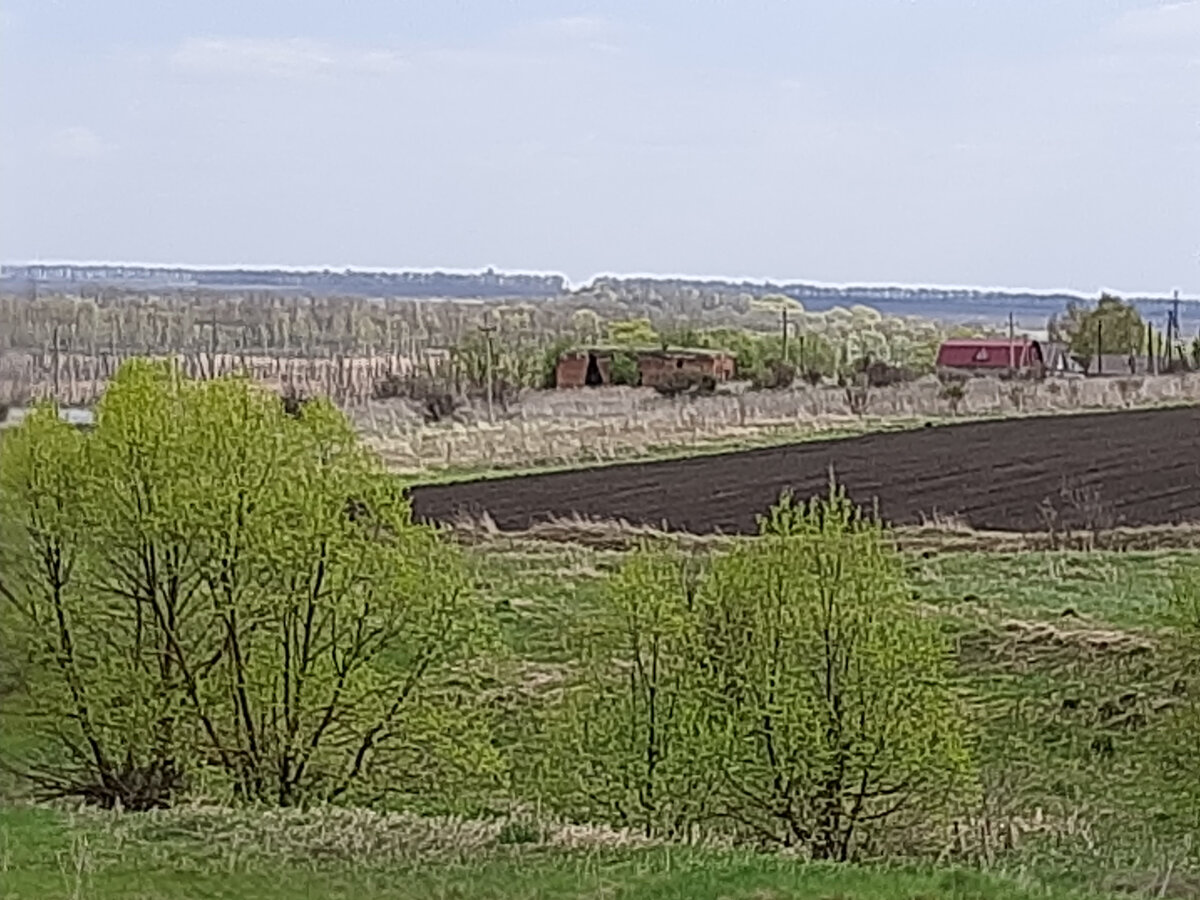 Фото автора.  В д. Приволье (Карамышево) сохранились лишь руины церкви Владимирской иконы Божией Матери построенной на средства и стараниями князя 