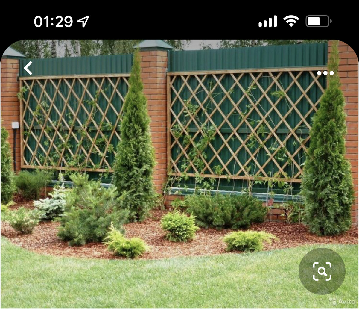 Источник https://pin.it/1m5L6Dm