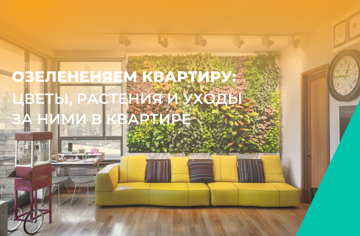 Озеленение квартиры