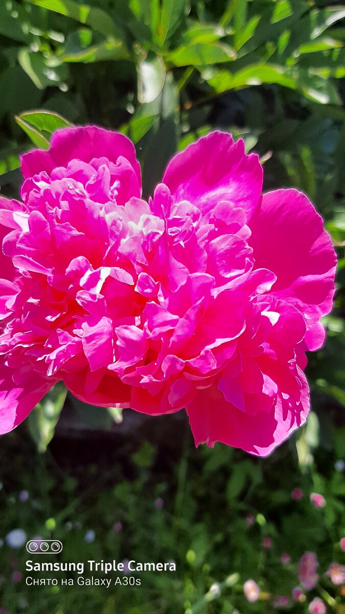 Фто автора.