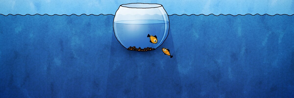 "Выход из зоны комфорта". Изображение из открытого источника.