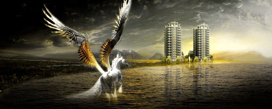 Фото из интернета.