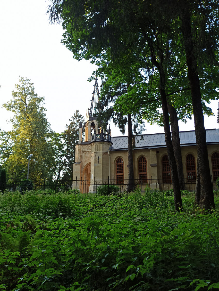 В парке летом