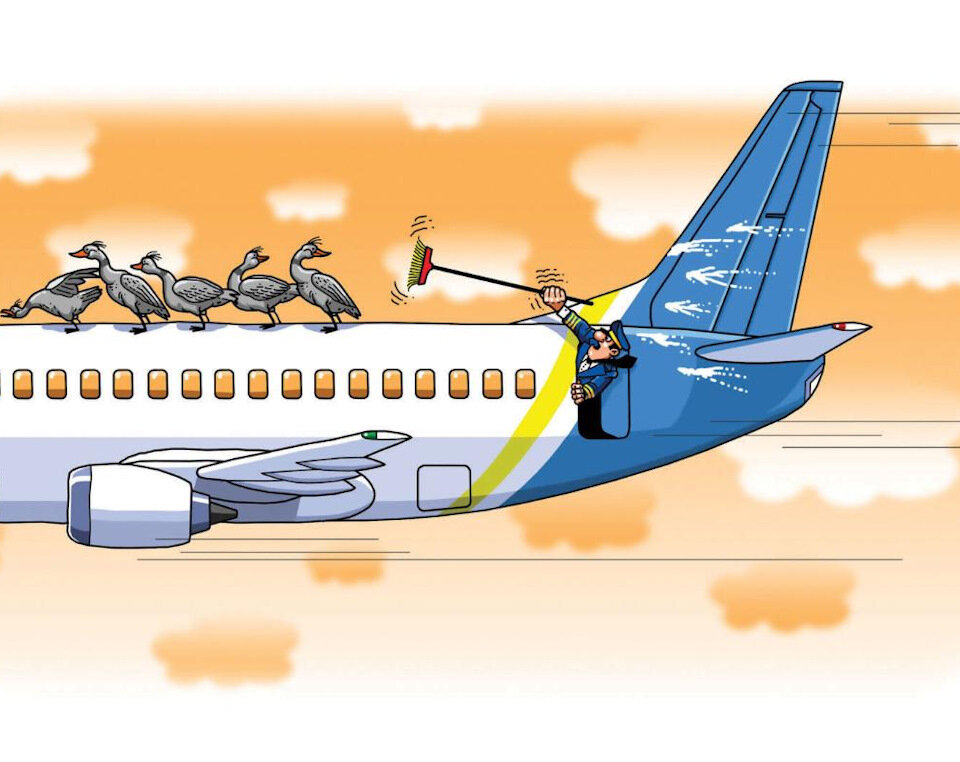 Картинка из открытого источника, принадлежит автору.