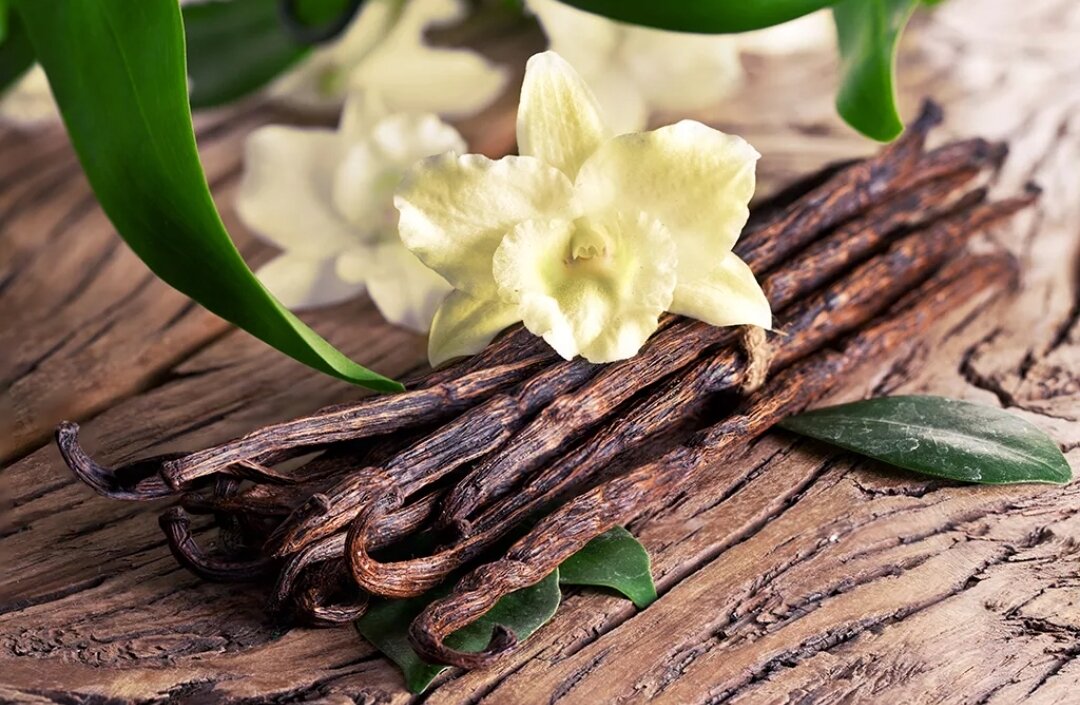 Фото из открытых источников.