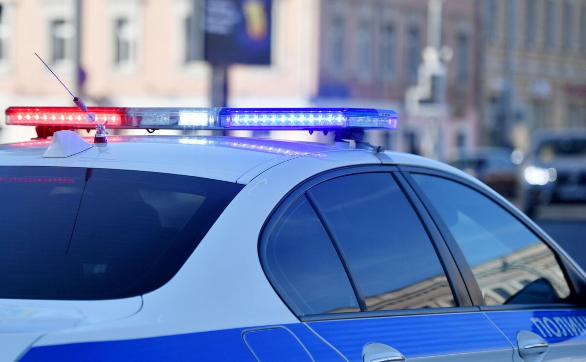    © Баранов Владимир/Global Look Press