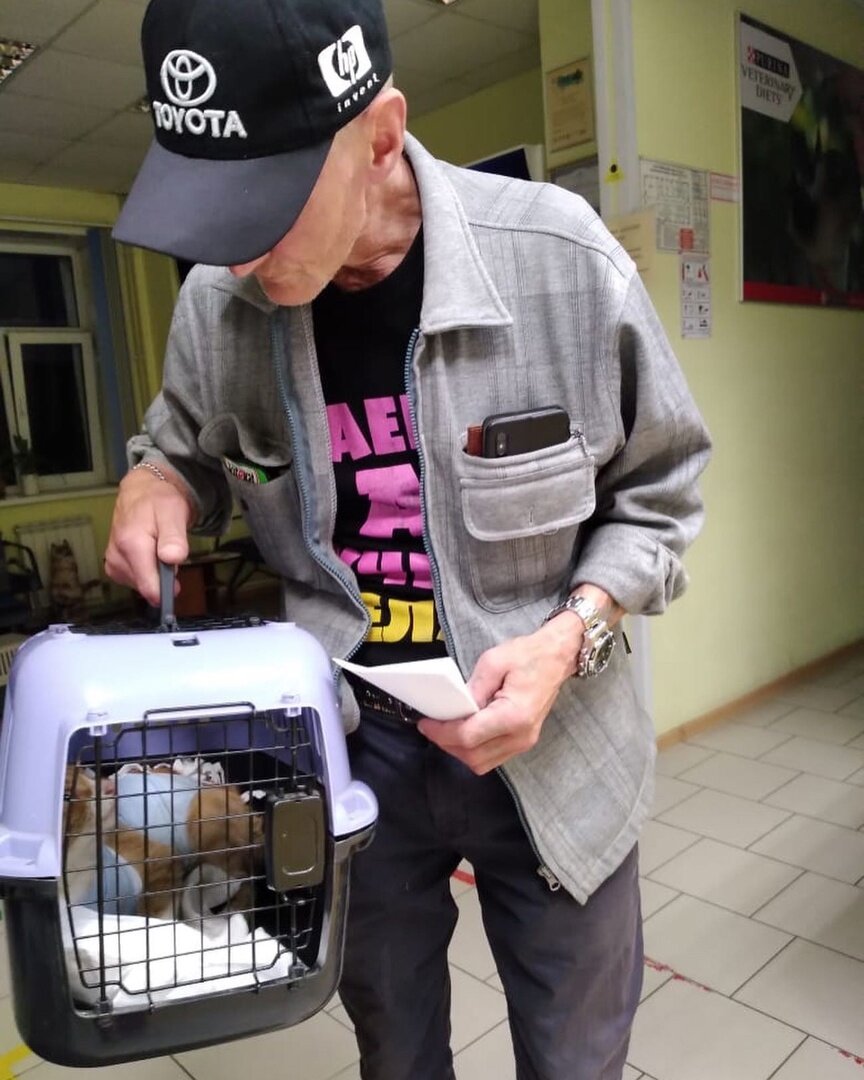    Кот Фото: Инициативная группа по защите животных г. Твери