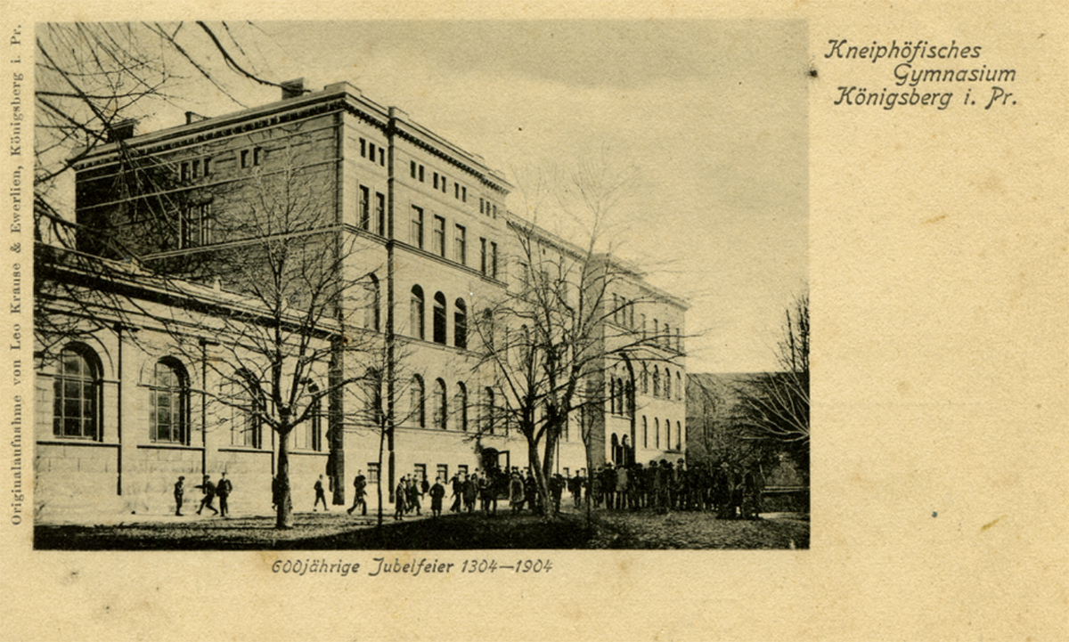 Кнайпхофская гимназия.