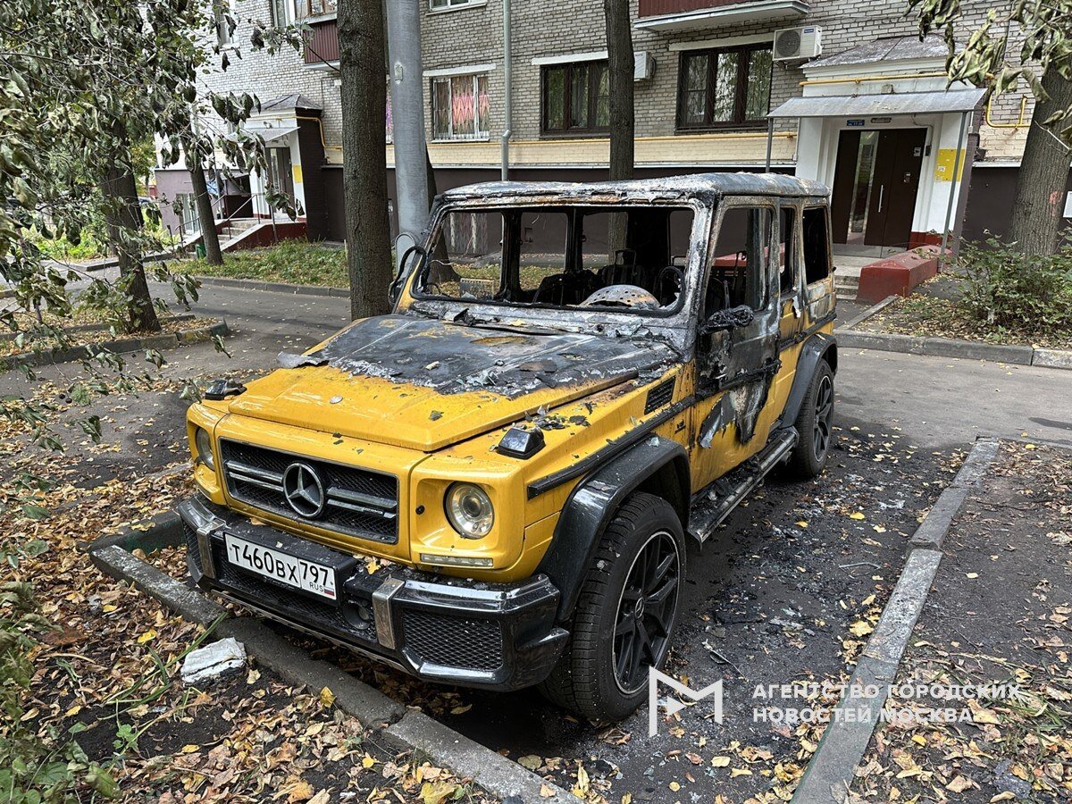 Фото: t.me / moscownewsagency 