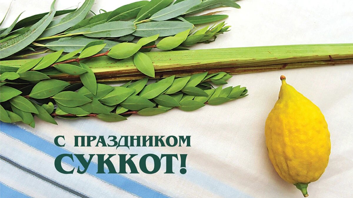 Суккот 2023. Иллюстрация: «Курьер.Среда»