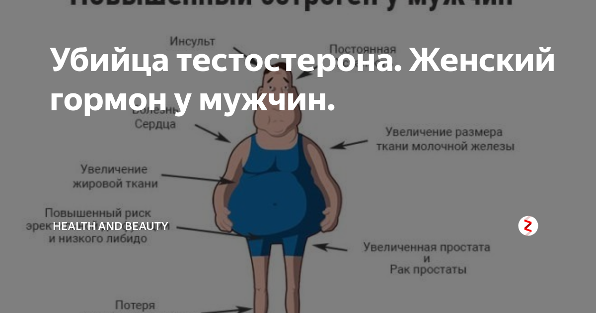 Повышают у мужчин уровень. Тестостерон и эстроген у женщин. Женский гормон эстроген у мужчин. Тестостерон гормон что это такое у женщин. У мужчин тестостерона у женщин