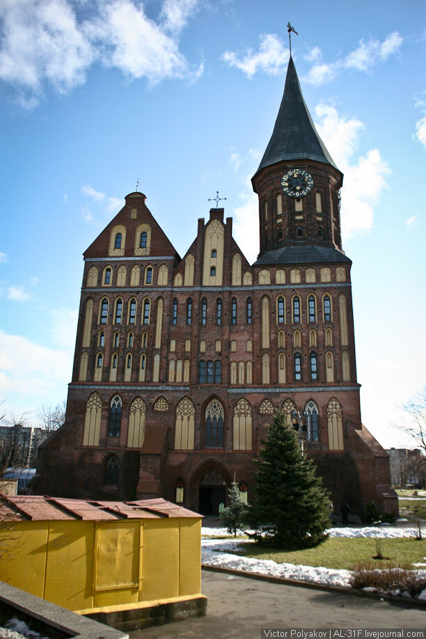 Калининград в конце апреля. Город Калининград. Остров Канта.