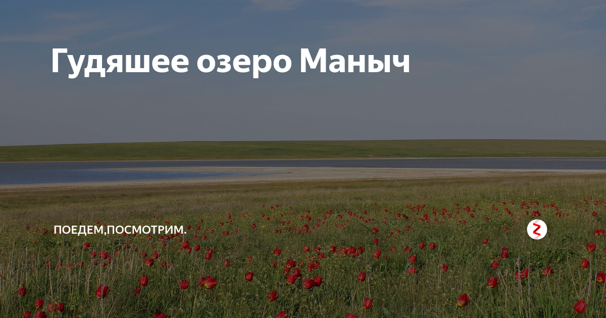 Где находится река маныч