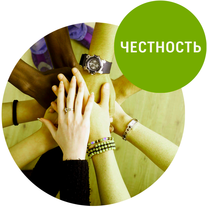 (фото взято из открытых источников и не принадлежит автору статьи)