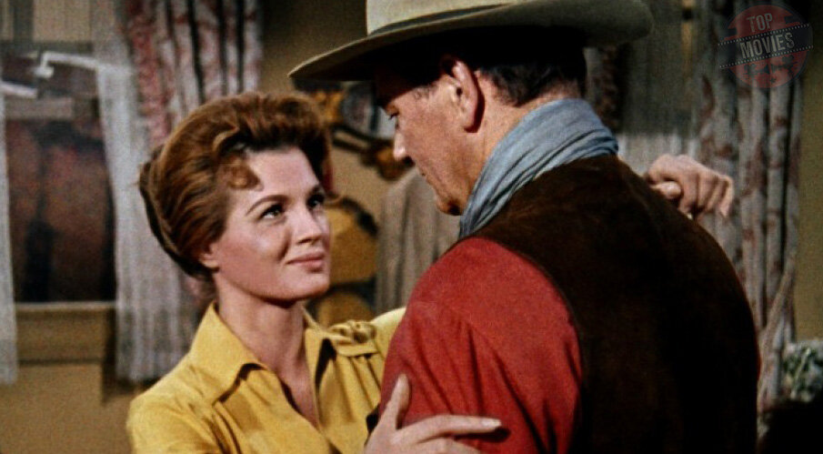 Провинциальный шериф Джон Чэнс (Джон Уэйн) арестовывает за убийство брата могущественного землевладельца. Богач объявляет законникам войну, а Чэнс может рассчитывать только на помощь трех человек - алкоголика (Дин Мартин), калеки (Уолтер Бреннан) и «молокососа» (Рикки Нельсон).