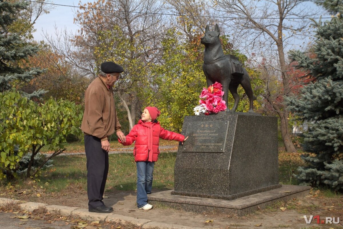 волгоград площадь чекистов