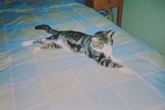 Буу в 2005 году, когда ей было 4 года