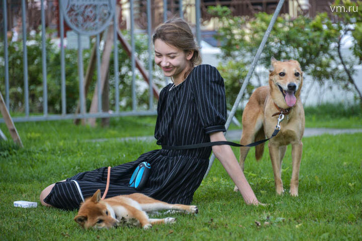 Наталья Феоктистова, "Вечерняя Москва" На людях и на животных, по мнению Алексея Кокорина, средний тренд температуры в 0,1 градуса по Кельвину не отразится