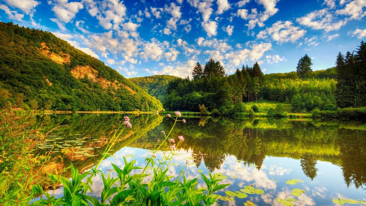 фото с сайта fullhdwallpapers.ru