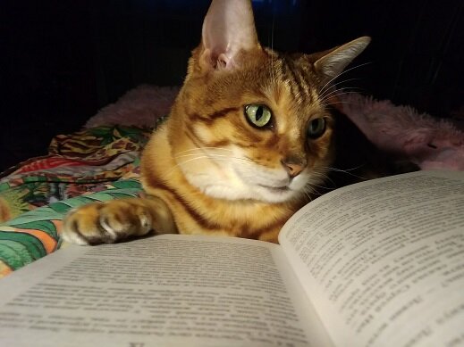 Начитанный мальчик.