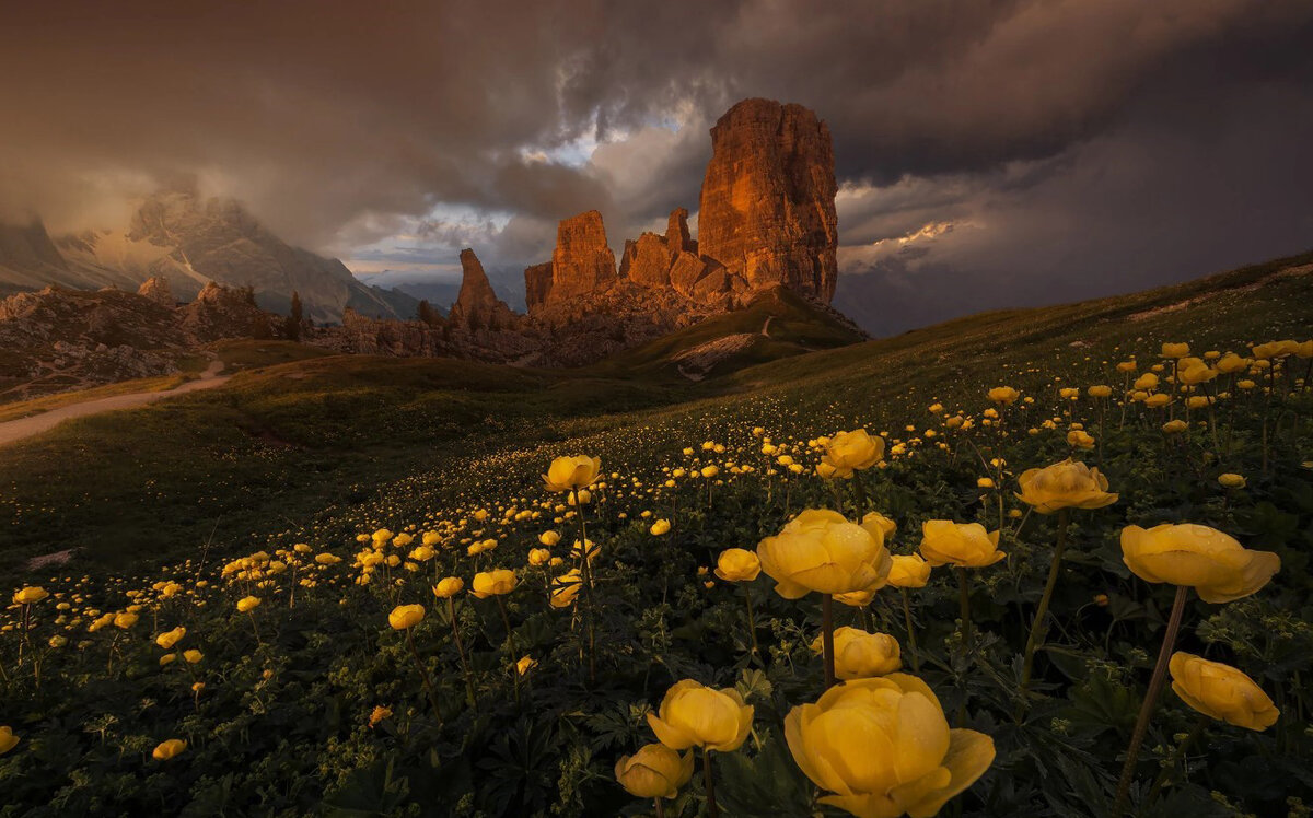 Фотография Leonardo Papèra