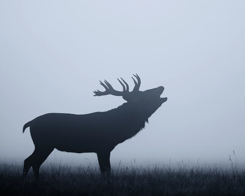 Фото Mark Bridger