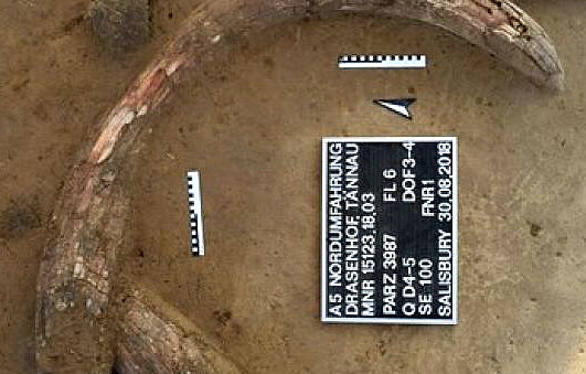 Бивень мамонта в каменном веке 'место убийства' (ASFiNA)