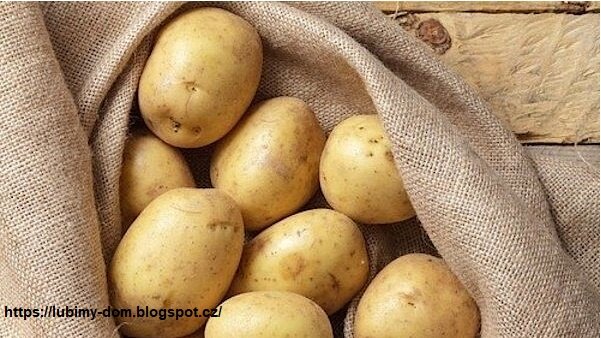 Сохраняем урожай без потерь