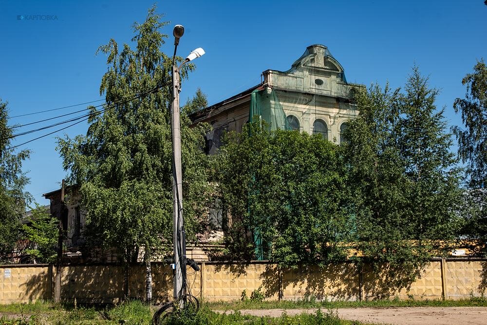 Весь покрытый зеленью: исторические дома Петербурга в фасадной сетке, Интернет-газета «Карповка»