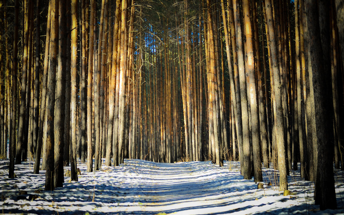 Фото: Андрей Кузьменко